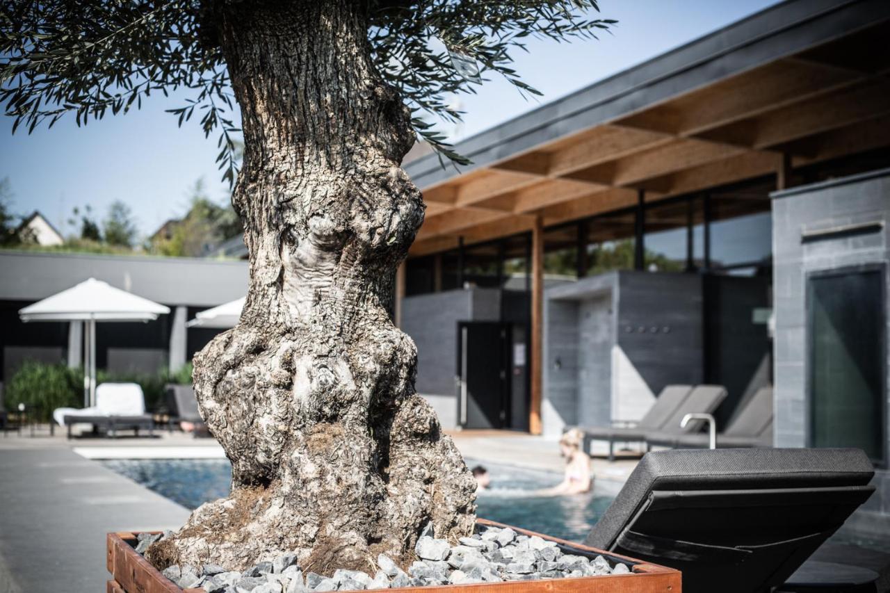 La Source Des Sens (Adults Only) Ξενοδοχείο Morsbronn-les-Bains Εξωτερικό φωτογραφία